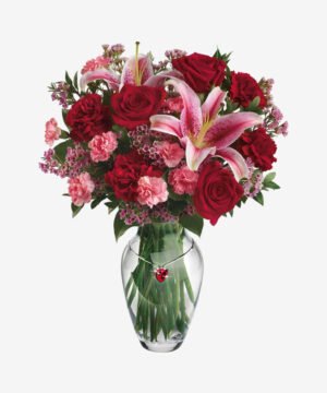 Pink And Red Delight Beautiful Bloomex